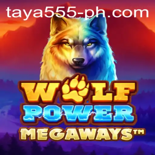 Exploring the Realm of WolfPowerMega and the Mysterious Taya 555
